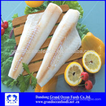 Frozen alaska Pollock fillet